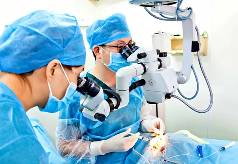 اکولوپلاستی